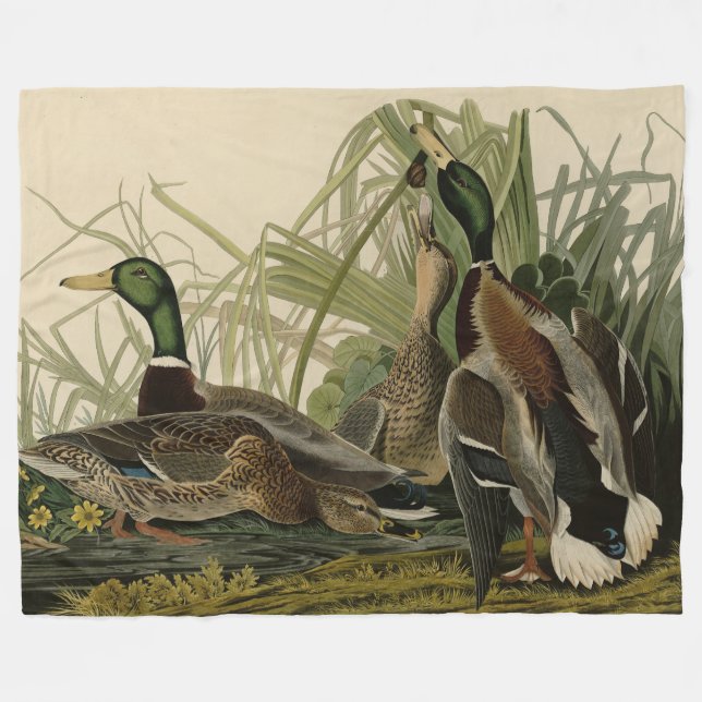 Mallard Duck from Audubon's Birds of America Fleece Blanket (Front (Horizontal))