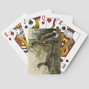 Mallard Duck from Audubon's Birds of America Playing Cards