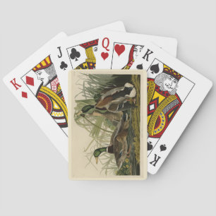 Mallard Duck from Audubon's Birds of America Playing Cards