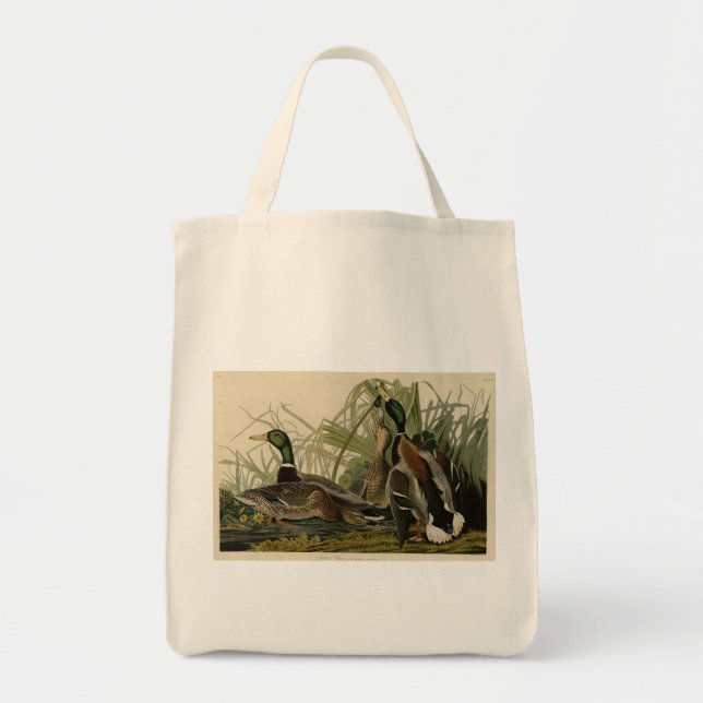 Mallard Duck from Audubon's Birds of America Tote Bag (Front)