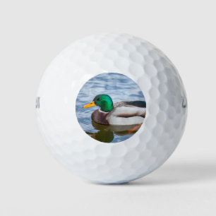 Mallard Duck Golf Balls