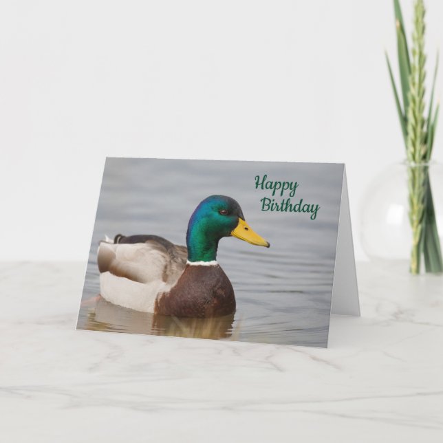 Mallard Duck Happy Birthday Card (Front)
