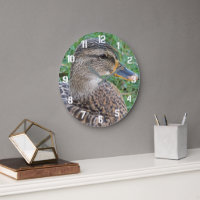 Mallard Duck Hen Photo
