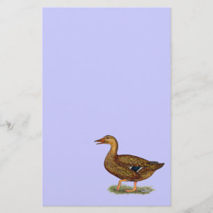 Mallard Duck Hen Stationery