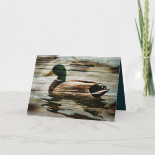 Mallard Duck Holiday Card