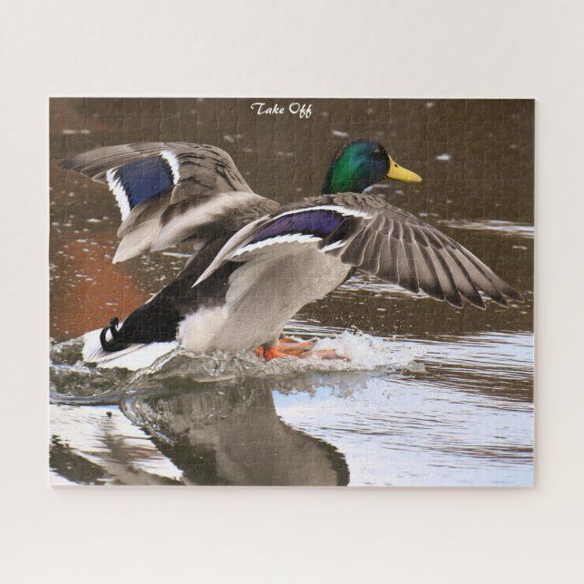 Mallard Duck in Flight Jigsaw Puzzle (Horizontal)