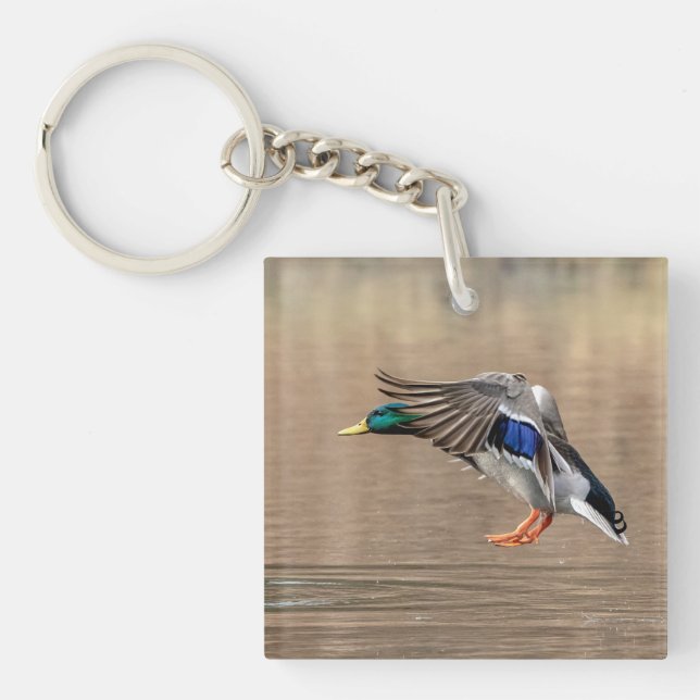 Mallard Duck in flight Key Ring (Front)