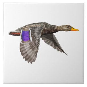 Mallard duck in flight tile