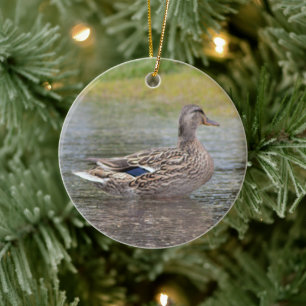 Mallard Duck in Puddle  Ceramic Tree Decoration