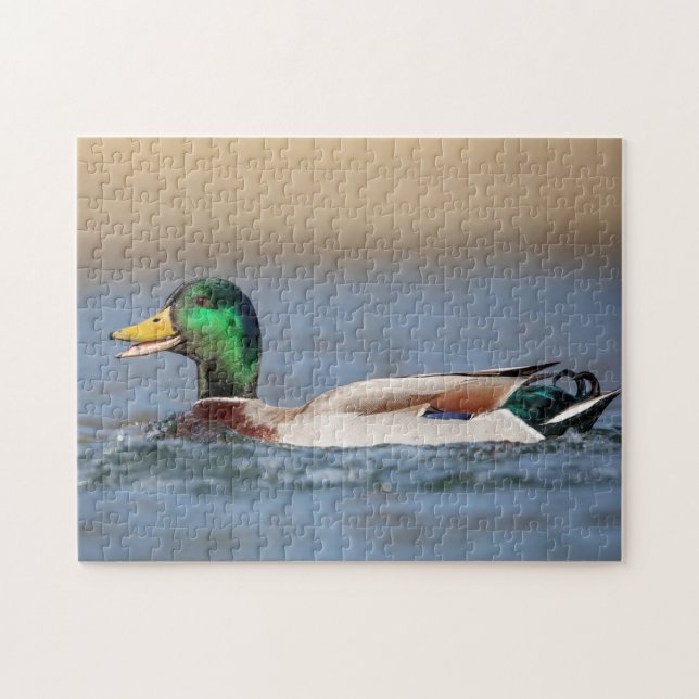Mallard Duck in the Hudson Valley Jigsaw Puzzle (Horizontal)