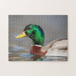 Mallard Duck in the Hudson Valley Jigsaw Puzzle