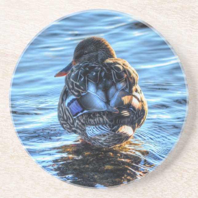 Mallard Duck in Winter River - Wildlife Photo Coaster (Front)