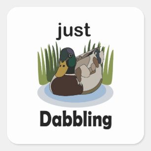 Mallard Duck Just Dabbling Pool Party Square Sticker