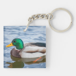 Mallard Duck Key Ring