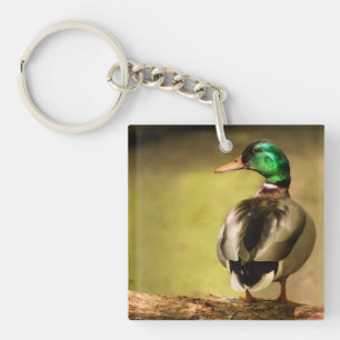 Mallard Duck Key Ring