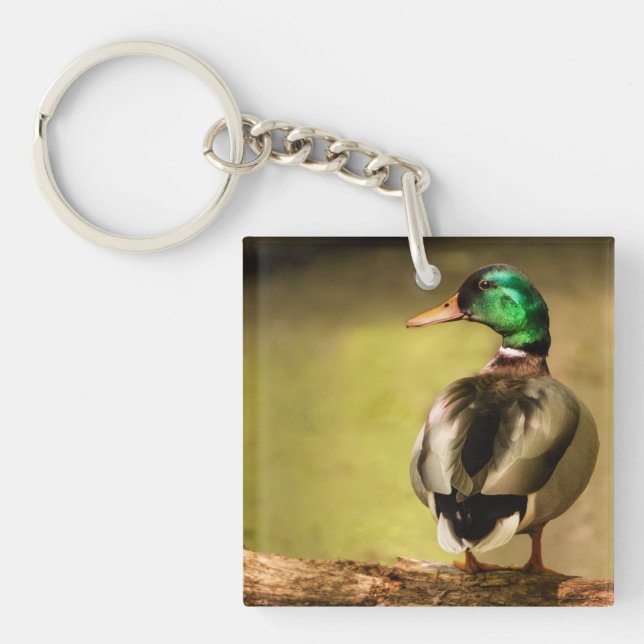 Mallard Duck Key Ring (Front)