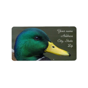Mallard Duck Label