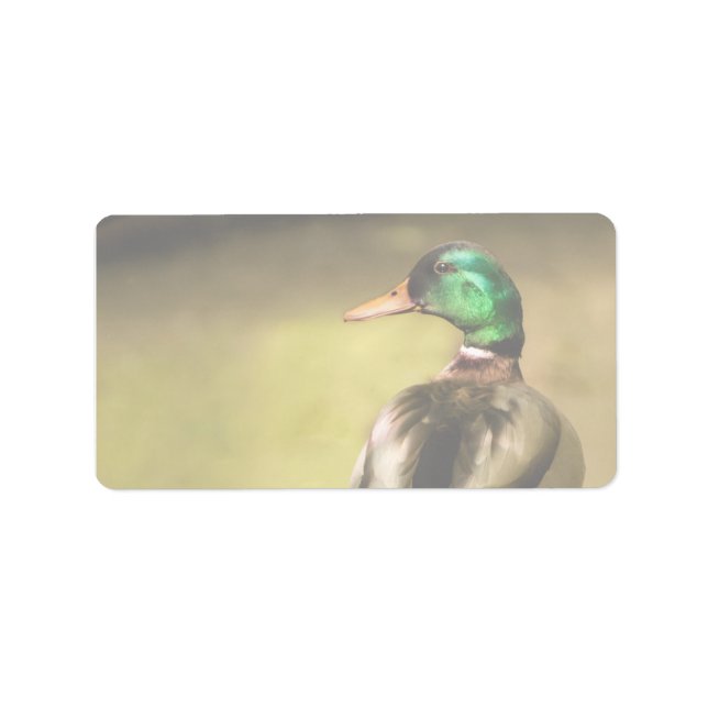Mallard Duck Label (Front)