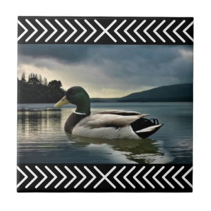 Mallard Duck Lake Tile