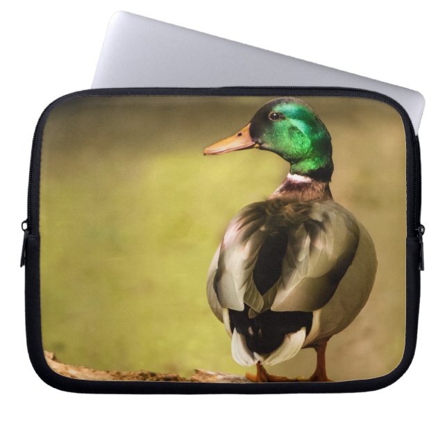 Mallard Duck Laptop Sleeve (Front)