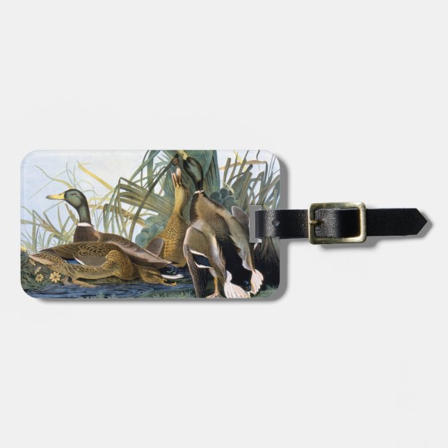 Mallard Duck Luggage Tag (Front Horizontal)