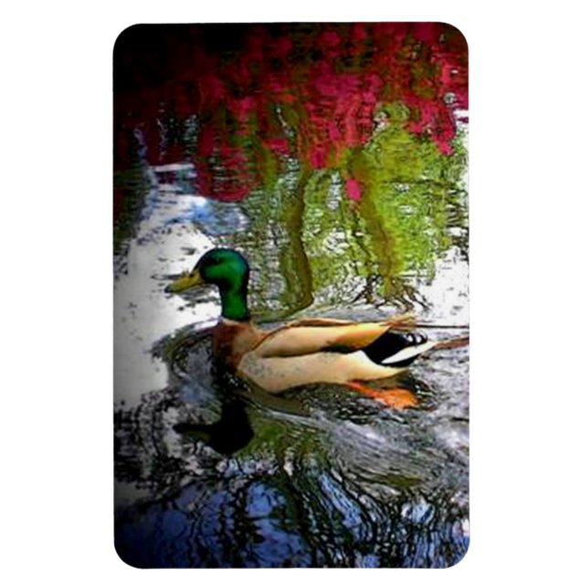 Mallard Duck Magnet (Vertical)