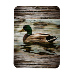 Mallard Duck Magnet