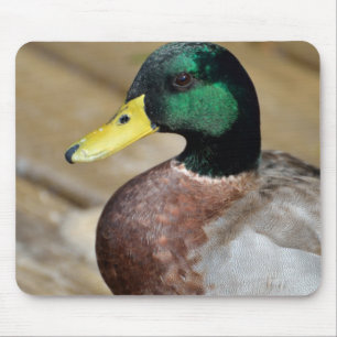 Mallard Duck Mouse Mat