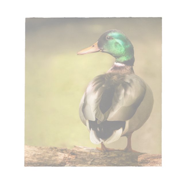 Mallard Duck Notepad (Front)