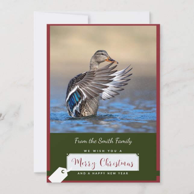 Mallard Duck on a Christmas Card (Front)
