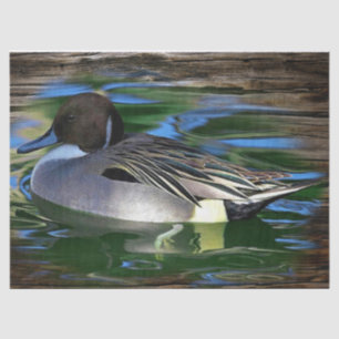 Mallard Duck On Lake Tissue Paper