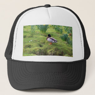 Mallard duck on the bank of a river trucker hat