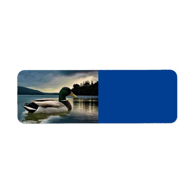 Mallard Duck On The Lake (Front)