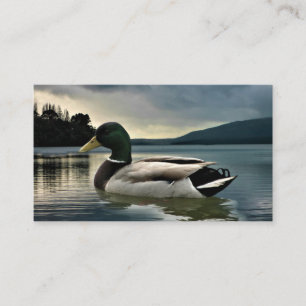 Mallard Duck On The Lake Business Card