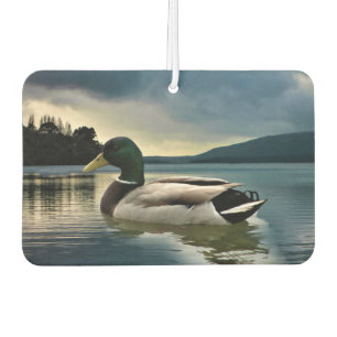 Mallard Duck On The Lake Car Air Freshener
