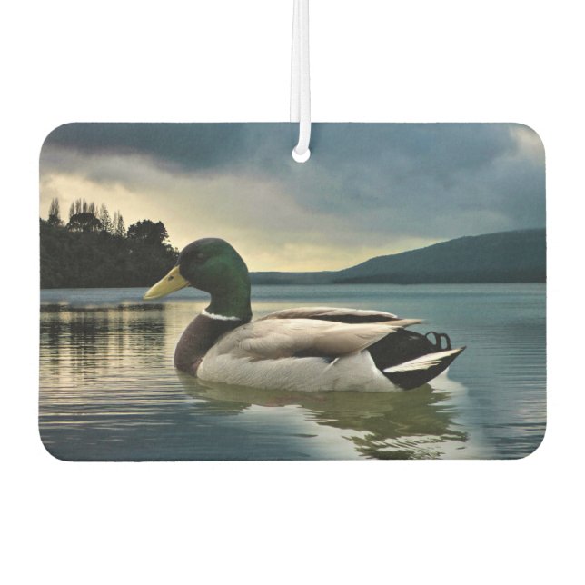 Mallard Duck On The Lake Car Air Freshener (Front)