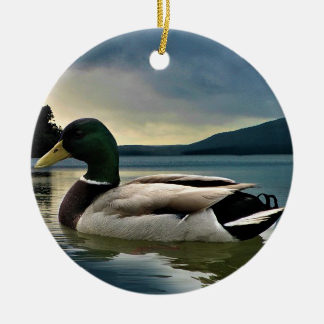Mallard Duck On The Lake Ceramic Tree Decoration (Front)