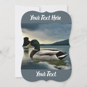 Mallard Duck On The Lake Invitation