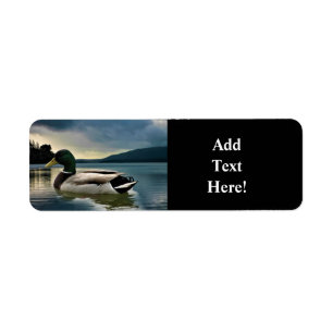 Mallard Duck On The Lake Label
