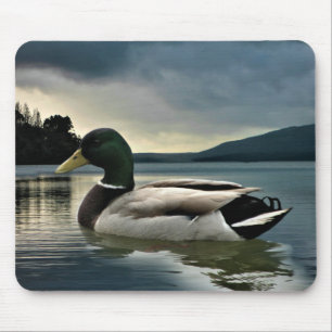Mallard Duck On The Lake Mouse Mat
