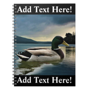 Mallard Duck On The Lake Notebook