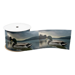 Mallard Duck On The Lake Satin Ribbon