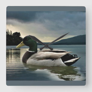 Mallard Duck On The Lake Square Wall Clock