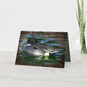 Mallard Duck On The Lake Thank You Card
