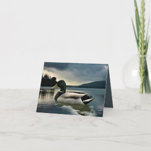 Mallard Duck On The Lake Thank You Card