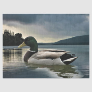 Mallard Duck On The Lake Tissue Paper