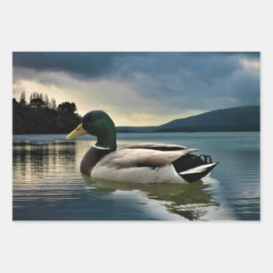 Mallard Duck On The Lake Wrapping Paper Sheet