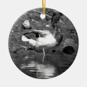 Mallard Duck Ornament 