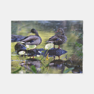 Mallard duck pair fleece blanket