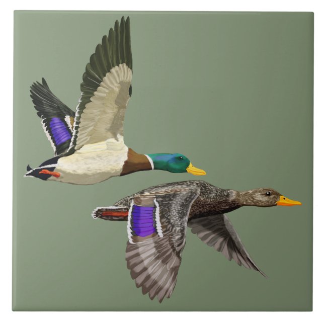 Mallard duck pair in flight  tile (Front)